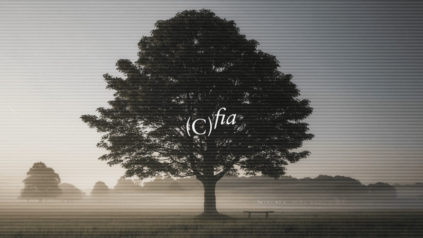 Codex 11